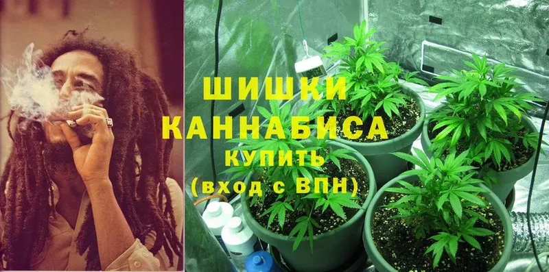 Марихуана Bruce Banner  где продают наркотики  Арск 